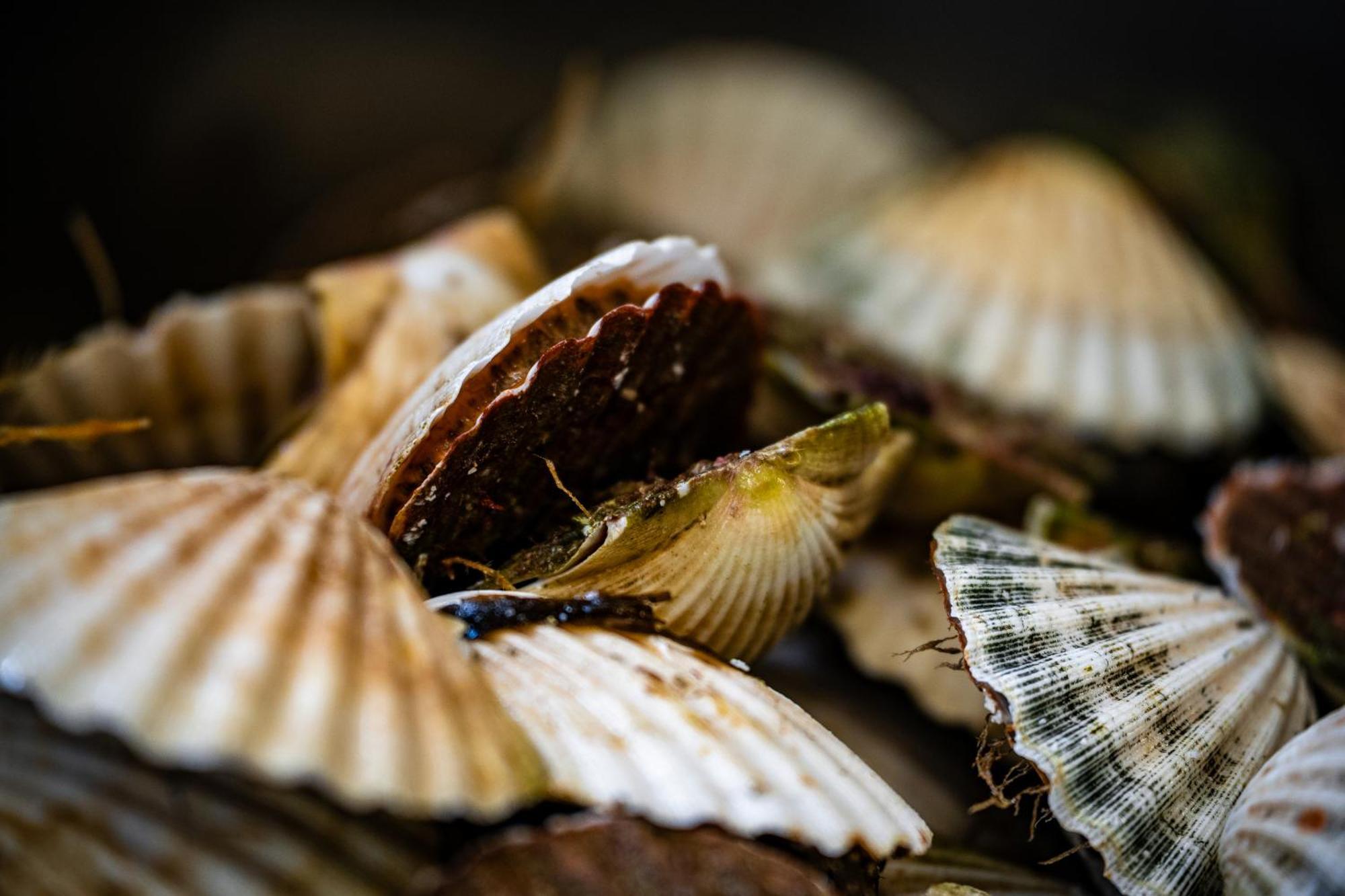 Murray Arms Hotel And Seafood Restaurant, Orkney Saint Margarets Hope エクステリア 写真